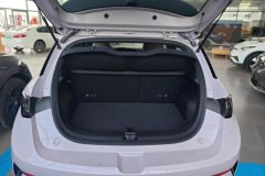 2025 BYD Dolphin 2025 Smart Drive 410km Fashion #4