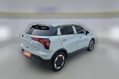 2024 Geometry E Firefly 2024 401km starlight #3