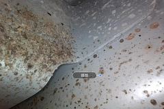 Лев. Sill (внутр.) Cavity