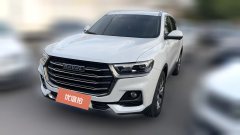 2021 Haval H6 2021 1.5T AT China tideChampion #1