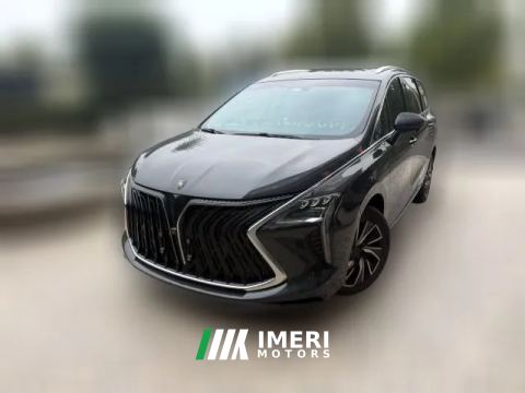 2022 Dongfeng Fengxing Fengxing Youting 2022 5T AT DCTHold the moonEdition