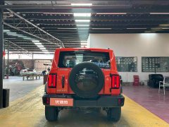 2024 Tank 300 2024 2.0T AT challenger #6