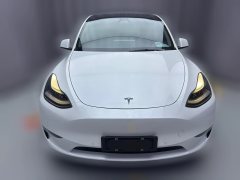 2021 Tesla Model Y 2021Long Rangeall wheel driveEdition 3D7 #4