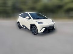 2025 BYD Seagull 2025 Smart Drive 305km freeEdition #2