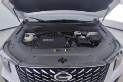 2024 GAC Trumpchi Trumpchi GS8 2024 PilotSeries 2.0TGDI AT 2WDLuxurySmart Connect #10