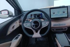 2025 BYD Seagull 2025 Smart Drive 305km vitalityEdition #15
