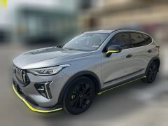 2023 Haval Chitu 2021 1.5T AT ProvokingEdition Platinumrabbit #1