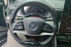 2023 BYD Tang New Energy 2023 1.5T AT DM-i Champion 112KM Honor #15