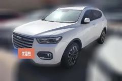 2020 Haval H6 2020 2.0T AT PlatinumChampion #1