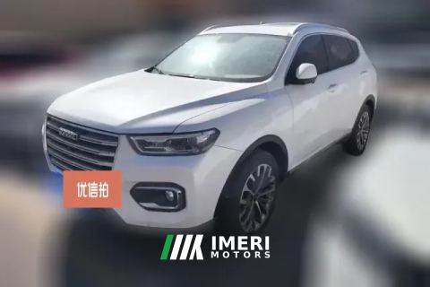 2020 Haval H6 2020 2.0T AT PlatinumChampion