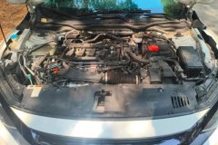 2020 Honda Civic 2019 1.5T AT 220TURBOPowermoveEdition China VI #10