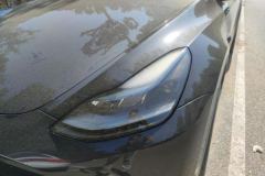 2024 Tesla Model Y 2024 rear wheel driveEdition #5