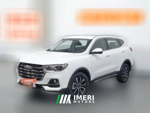 2021 Haval H6 2021 1.5T AT China tideUrbanEdition