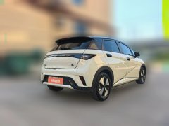 2024 BYD Dolphin 2023 420km freeEdition #2