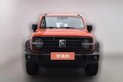 2023 Tank 300 2023 Off-road 2.0T AT conqueror #3