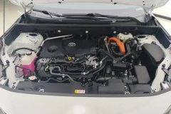 2021 Toyota Wildlander 2020 2.5 AT HybridLuxury 4WD HEV #10
