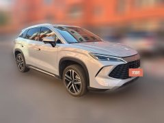 2025 BYD Song L DM-i 2024 1.5L AT 112km Surpass #3