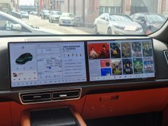 2022 Li Auto Li Auto L9 2022 Max #10