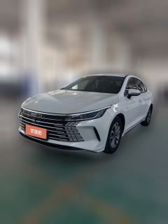 2025 BYD Destroyer 05 2024 Glory 1.5L AT DM-i 55KM Luxury #1