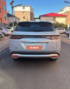 2025 BYD Song L DM-i 2024 1.5L AT 112km Surpass #9