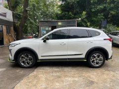 2023 Haval Chitu 2022 Power Enjoy 1.5T AT Copper Rabbit #7