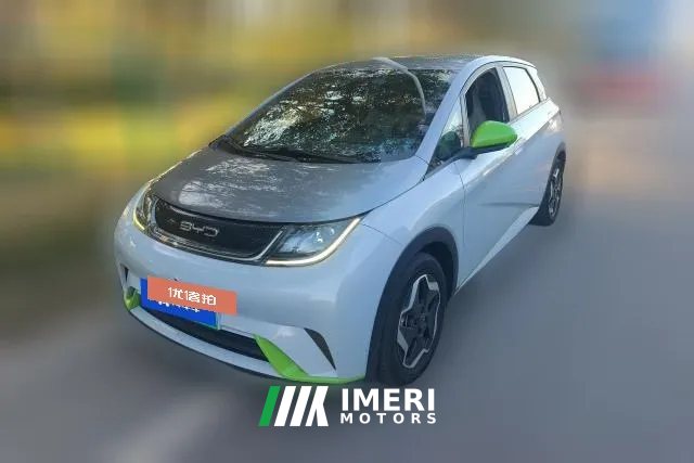 2022 BYD Dolphin 2021 AT 405km freeEdition