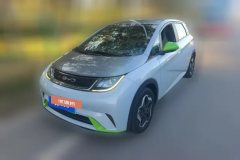 2022 BYD Dolphin 2021 AT 405km freeEdition #1