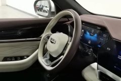 2023 Geely Auto Xingyue L 2021 2.0TD AT DCT EVO2WDSmart Premium #23
