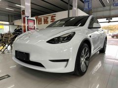 2021 Tesla Model Y 2021Long Rangeall wheel driveEdition 3D7 #3