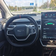 2022 Neta V 2022 tide 300 Lite NMC #14