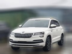 2023 Škoda Karoq 2022 1.4T AT TSI280 Exclusive #1