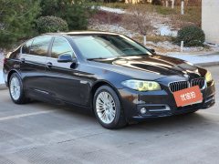 2015 BMW 5 Series 2014 2.0T AT 525LiLeading #7
