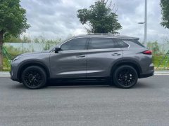 2021 GAC Trumpchi Trumpchi GS4 Plus 2021 2.0T AT 390T nebulaEdition #5