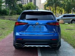 2019 Lexus NX 2019 300h AT Million Limited Edition (Import) China VI #8