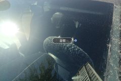 Windshield