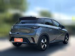2024 BYD Dolphin 2023 420km Fashion #2