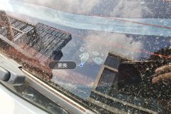 Rear Windshield