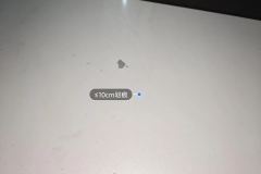Trunk Lid