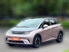 2022 BYD Dolphin 2021 405km Fashion #1