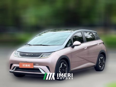 2022 BYD Dolphin 2021 405km Fashion