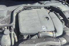 2020 Mercedes-Benz C-Class 2020 1.5T AT C260LSport Facelift #10