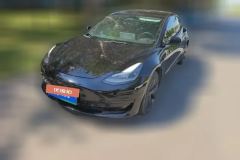 2022 Tesla Model 3 2022 rear wheel driveEdition #1