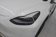2021 Tesla Model Y 2021StandardBattery lifeRWDEdition #5