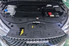 2022 Haval M6 2023 PLUS 1.5T AT DCT EliteSmart Connect #10
