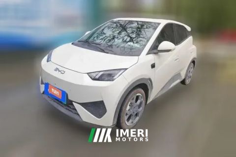 2025 BYD Seagull 2025 Smart Drive 305km freeEdition