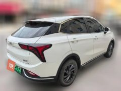 2022 Neta V 2022 tide 300 Lite LFP #5