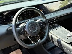 2024 Voyah Free 2025 318 318km RWDTravel aroundEdition #5