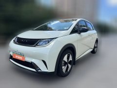 2023 BYD Dolphin 2023 420km freeEdition #1