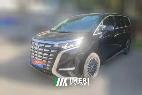 2025 Denza D9 2024 1.5T AT DM-i 970 Luxury