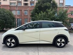 2023 BYD Dolphin 2023 420km freeEdition #5